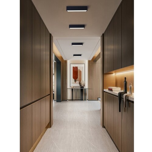  Immax NEO 07074-60-LED prigu&amp;scaron;iva plafonska svetiljka CANTO 34W/230V crna Tuya+DO Slike
