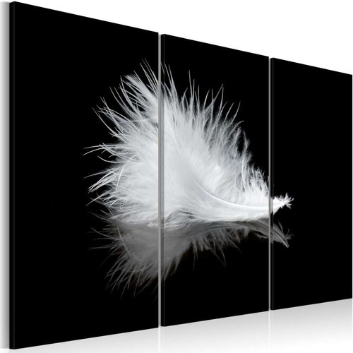  Slika - A small feather 90x60 Slike