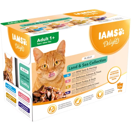IAMS 36 + 12 gratis! 48 x 85 g mokra hrana za mačke - Delights Adult: Land & Sea Mix u želeu