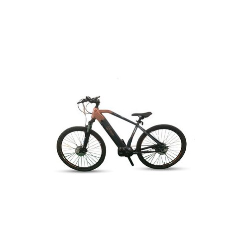 X-plorer E-bike MTB KILIMAJARO 29" R19.5 Cene
