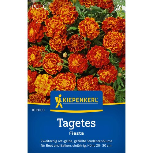 KIEPENKERL Žametnica "Fiesta" - 1 pkt. Cene