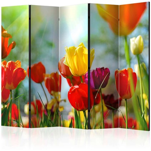  Paravan u 5 dijelova - Spring Tulips II [Room Dividers] 225x172 Cijene