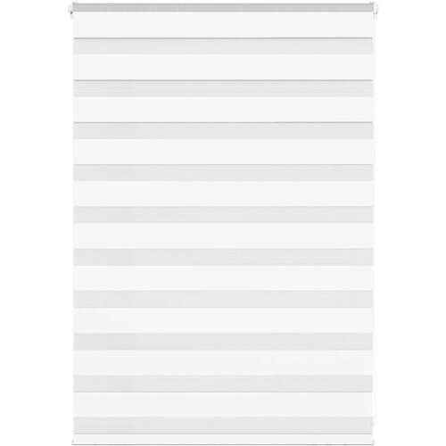 VidaXL Zavjesa zebra 100x100 cm &amp;scaron;irina tkanine 95,9 cm poliester Slike
