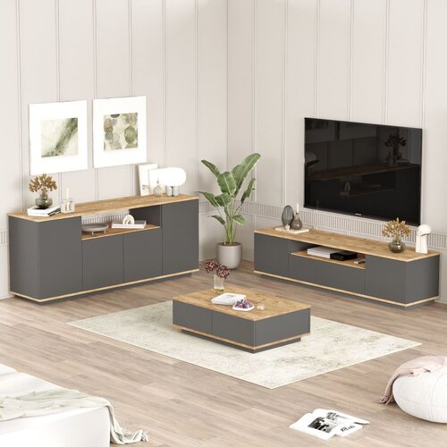 Hanah home FR18-AA atlantic pineanthracite living room furniture set Cene