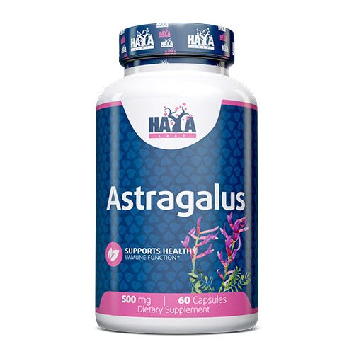 HAYA Labs Astragalus 500mg – 60 Kapsula – Podrška Imunitetu i Smanjenje Upala Cene
