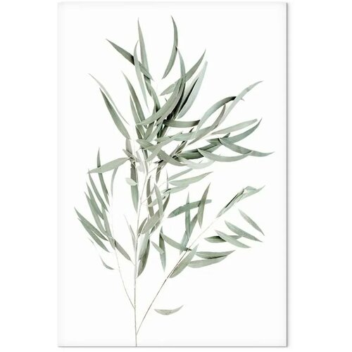  Slika - Nicholia Eucalyptus (1 Part) Vertical 40x60 Slike