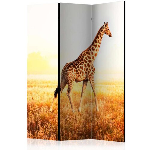  Paravan u 3 dijela - giraffe - walk [Room Dividers] 135x172 Slike