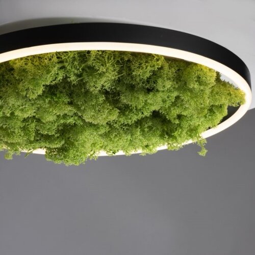 Just LIGHT. 15391-66 - LED prigu&amp;scaron;iva stropna svetiljka GREEN RITU LED/20W/230V Slike