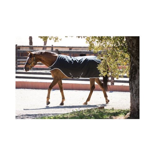 Horseware Ireland Amigo Walker 200g - XL (160-165cm) Cene