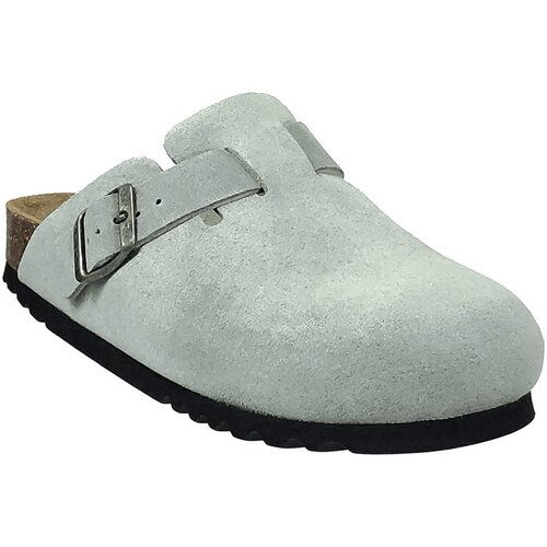 Scholl Cokli Fae Kaki Cene