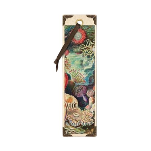 That Company Called IF Vintage - Bukmarker - Vintage, Anemones Slike