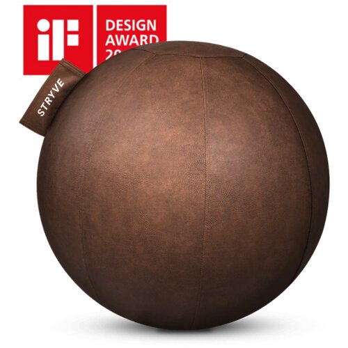 STRYVE active ball 65 cm - brown Cijene