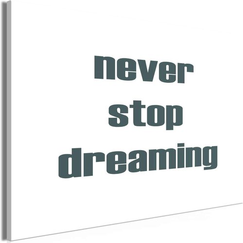  Slika - Never Stop Dreaming (1 Part) Wide 120x80 Cijene