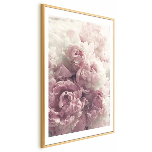  Plakat Delicate Peonies 60x90 Zlatni okvir s margom Cene