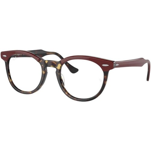 Ray-ban Eagleeye RX5598 8250 - L (51) Cijene