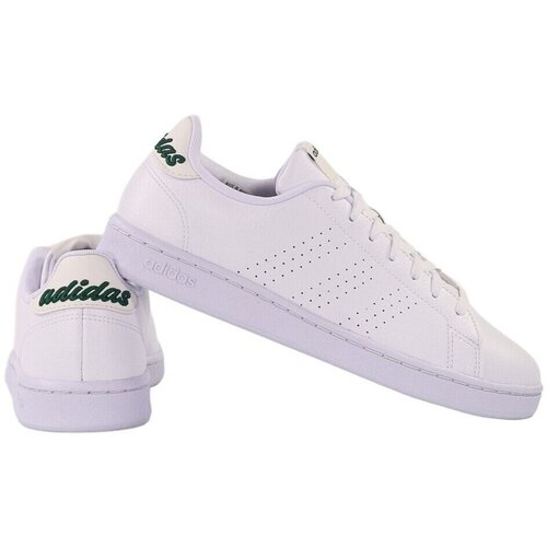 Adidas Nizke superge Advantage Bela Cene