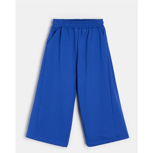 Sinsay Donji dio trenirke wide leg s flisom Cene