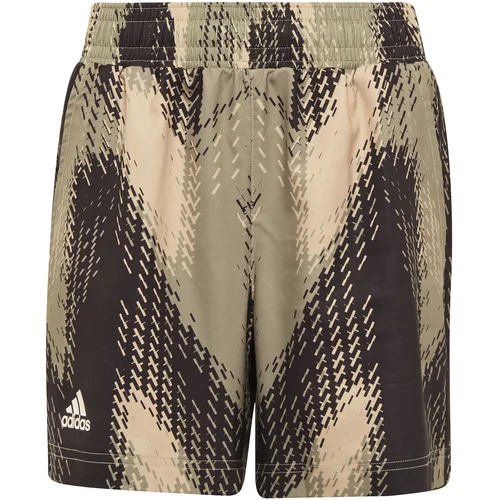 Adidas Boys Printed Short Beige/Black/Olive Shorts 152 cm