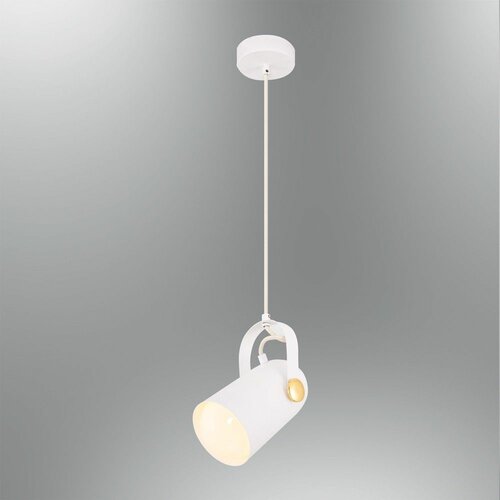 Opviq L1546 - white white chandelier Slike