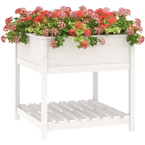  Sadilica s policom bijela 82,5x82,5x81 cm od masivne borovine Slike