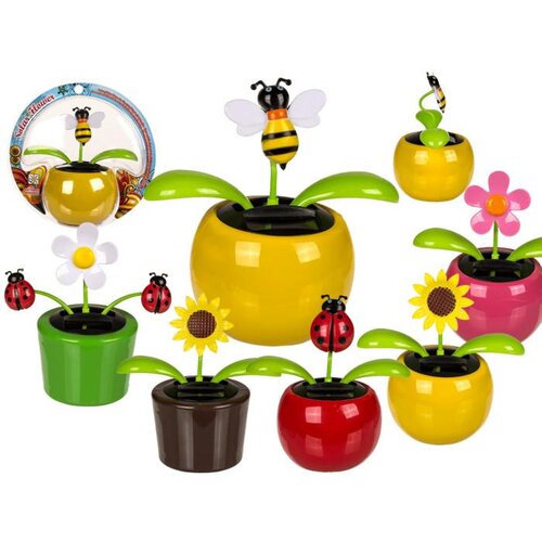  Solarni plesni cvijet ili zuzelka Slike