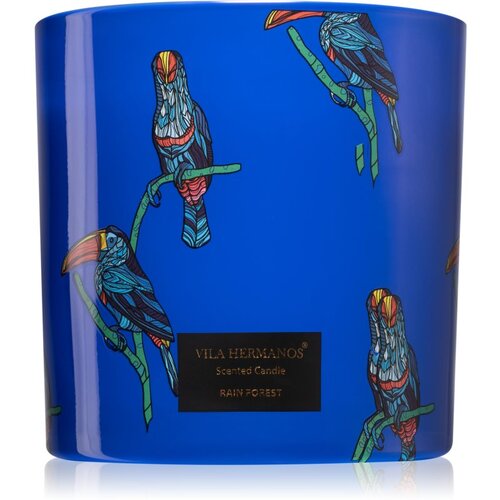 Vila Hermanos Jungletopia Rain Forest mirisna svijeća 620 g Slike