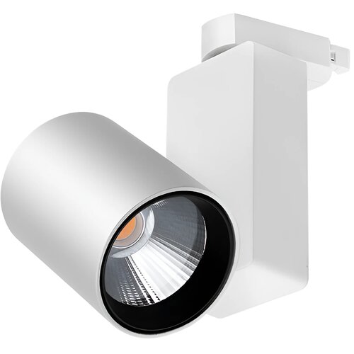 Braytron LED Šinski Reflektor 30W Beli 4000K Monofazni BD30-00310 Cene