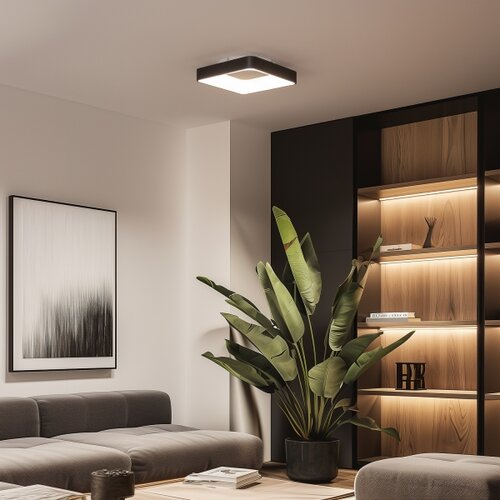  Brilagi - LED prigu&amp;scaron;iva stropno svetlo FALCON II LED/80W/230V 40x40 cm crna + daljinski upravljač Slike
