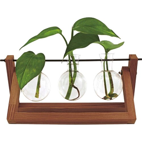 Winkee Hydro Vase Blossom - 1 kos Slike