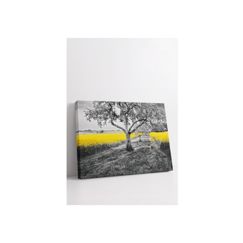 Wallxpert Slika Ersyfdc234, 50x70 cm Slike