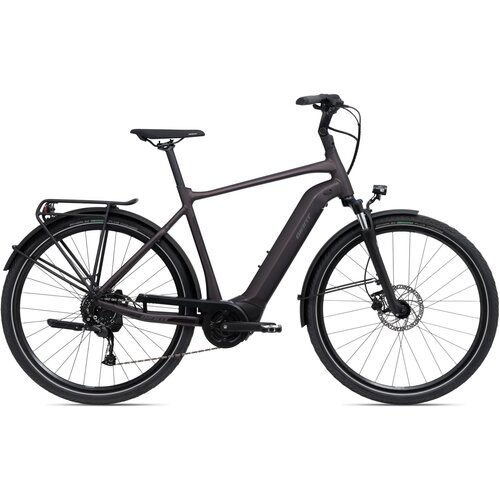  Bicikl GIANT DailyTour E+ 3 GTS 25km/h Rosewood - L Cijene
