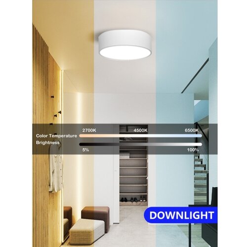  Immax NEO 07204L - LED prigu&amp;scaron;iva svetiljka RONDATE LED/18W/230V bela Tuya + daljinski upravljač Slike