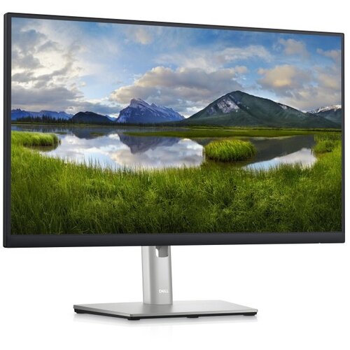 DELL OEM 23.8 inch P2422H Professional IPS monitor Cene