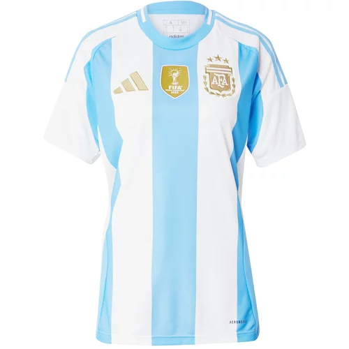 Adidas Dres 'Argentina 24 Home' azur / zlato-rumena / bela