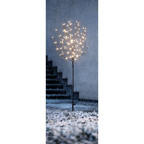 Olimp Sport Svetleće drvo Aquaris Cene