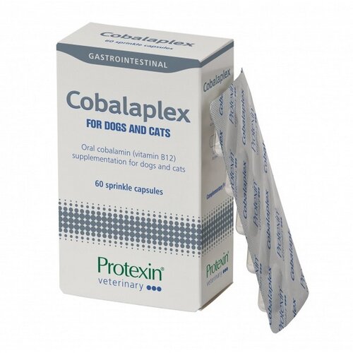 Probiotics Int. PROTEXIN Cobalaplex tablete za pse i mačke - 60 tableta Cene