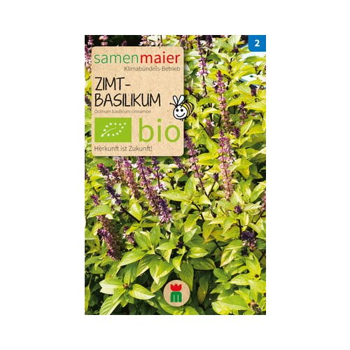 Samen Maier BIO cimetova bazilika Cene
