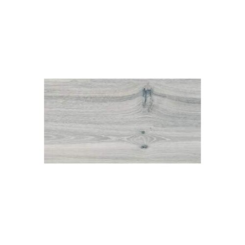 TILEZZA KER.PL.RAGGIO CEDRO 30X120 Cijene