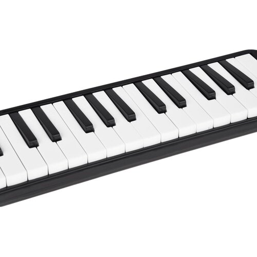  Muzikalni instrument, melodijska klavijatura s harmonikom, kutija i dva nastavka Slike