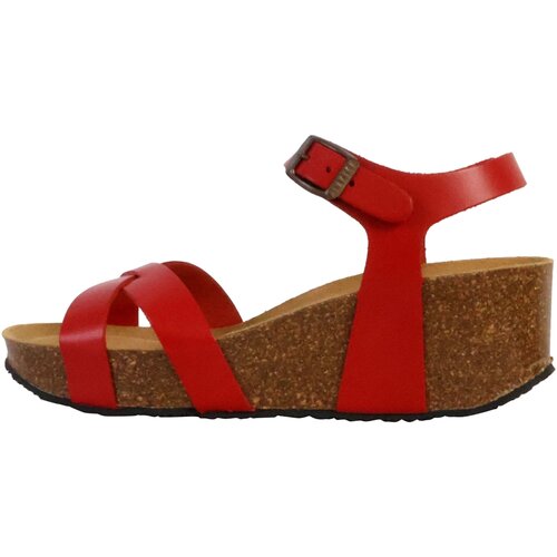 Plakton 250436 Crvena Slike