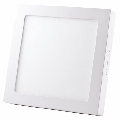  LED Plafonsko svetlo LED/24W/230V 4000K Cene