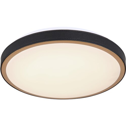 Globo LED plafonjera Metall fi30cm 12W Slike