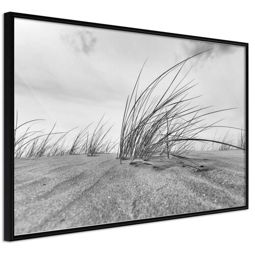  Poster - Seaside Dunes 30x20 Slike