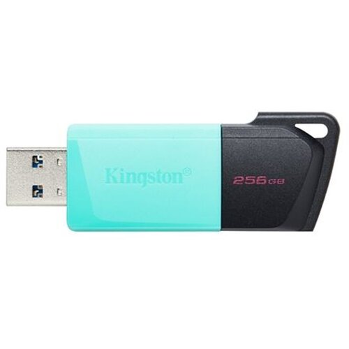 Kingston MEM UFD 256GB DTXM KIN Cijene