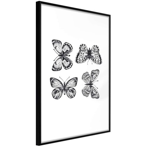  Poster - Butterfly Collection III 30x45 Slike