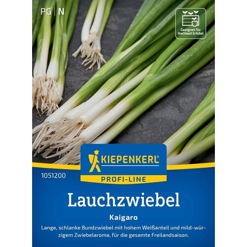 KIEPENKERL Stoletna čebula Kaigaro - 1 pkt. Cene