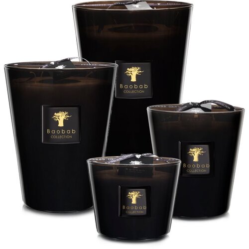Baobab Les Prestigieuses Encre de Chine di&amp;scaron;eča sveča 16 cm Slike