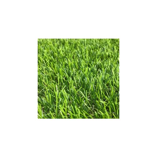  Trava vestacka 2x3m Cene