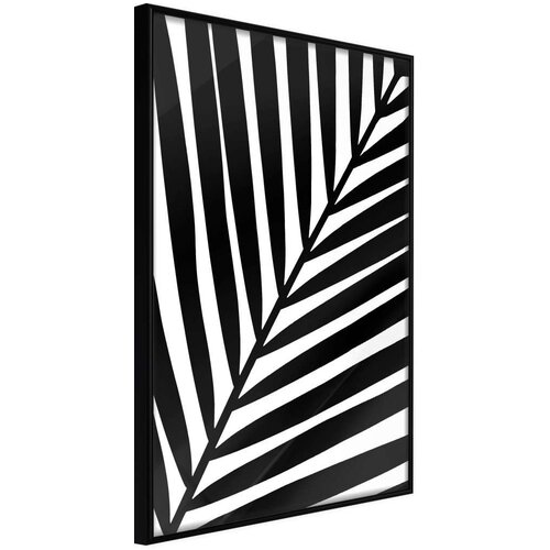  Poster - Black Palm 30x45 Slike