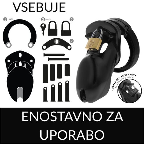 Addicted Toys Locked kletka za penis addicted toys forbidden vault 10 cm Slike